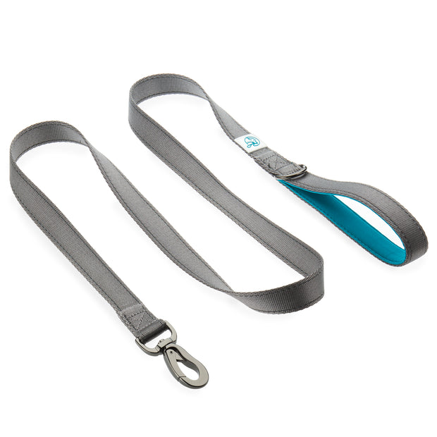 Carabiner Leash – Mountain Dog Products