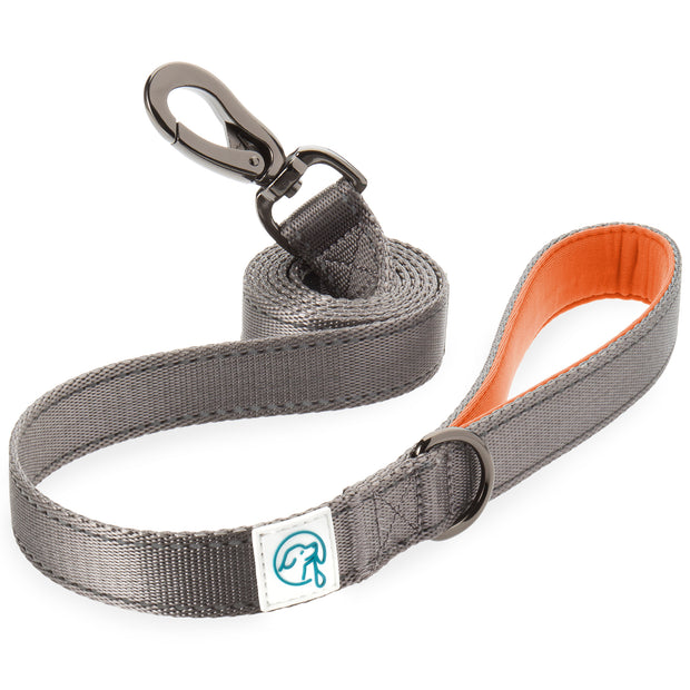 Embark Adventure Dog Harness No-Pull Dog Harness for Small Dogs, Medium &  Large. 2 Leash Clips, Front & Back with Control Handle, Adjustable Orange