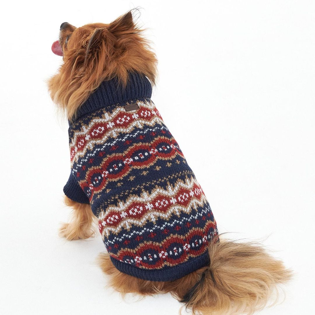 Must-Have Pet Accessories: Dog Snoods - Delightful Dapple