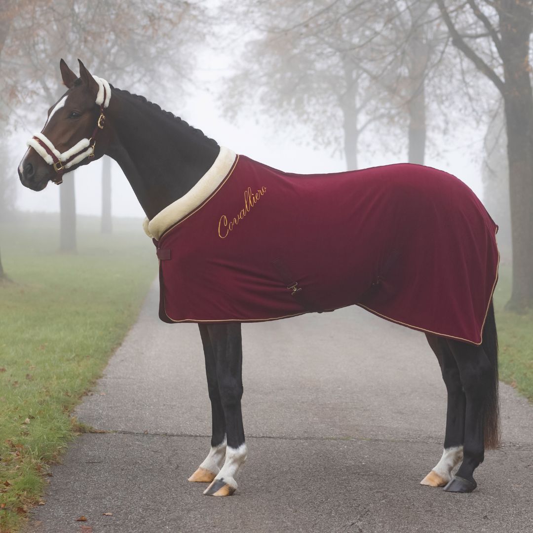 Covalliero - Licol Réglable Classy Merlot, Shetland XS