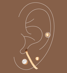 outline of a detached earlobe. multiple piercings in the ear with hypoallergenic gold earrings 