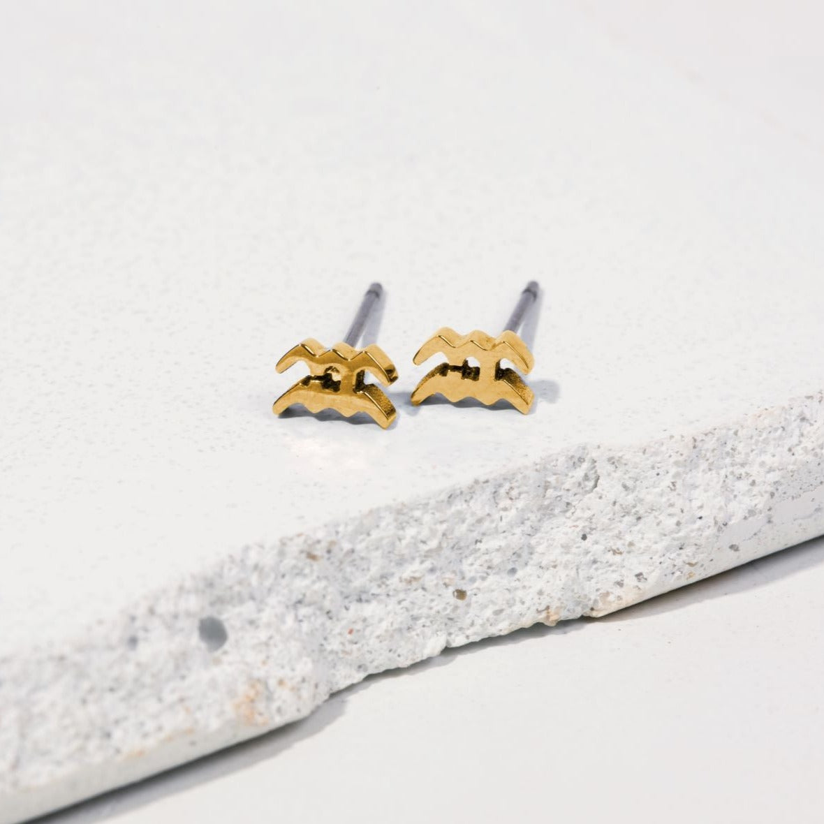 Hypoallergenic Titanium Zodiac Aquarius Studs | Tini Lux