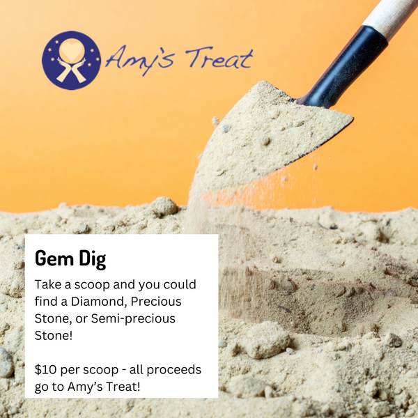 Find a gem dig fundraiser for Amy's Treat