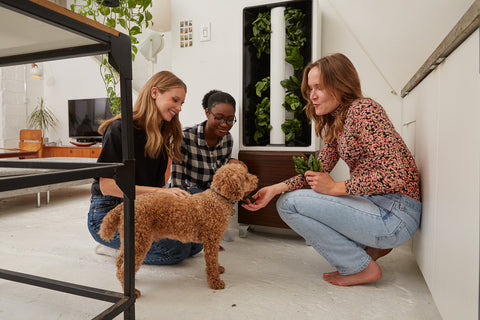 Girls feeding hydroponic produce to dog