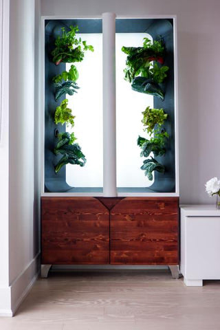 Just Vertical AEVA Hydroponic Indoor Gardening Unit