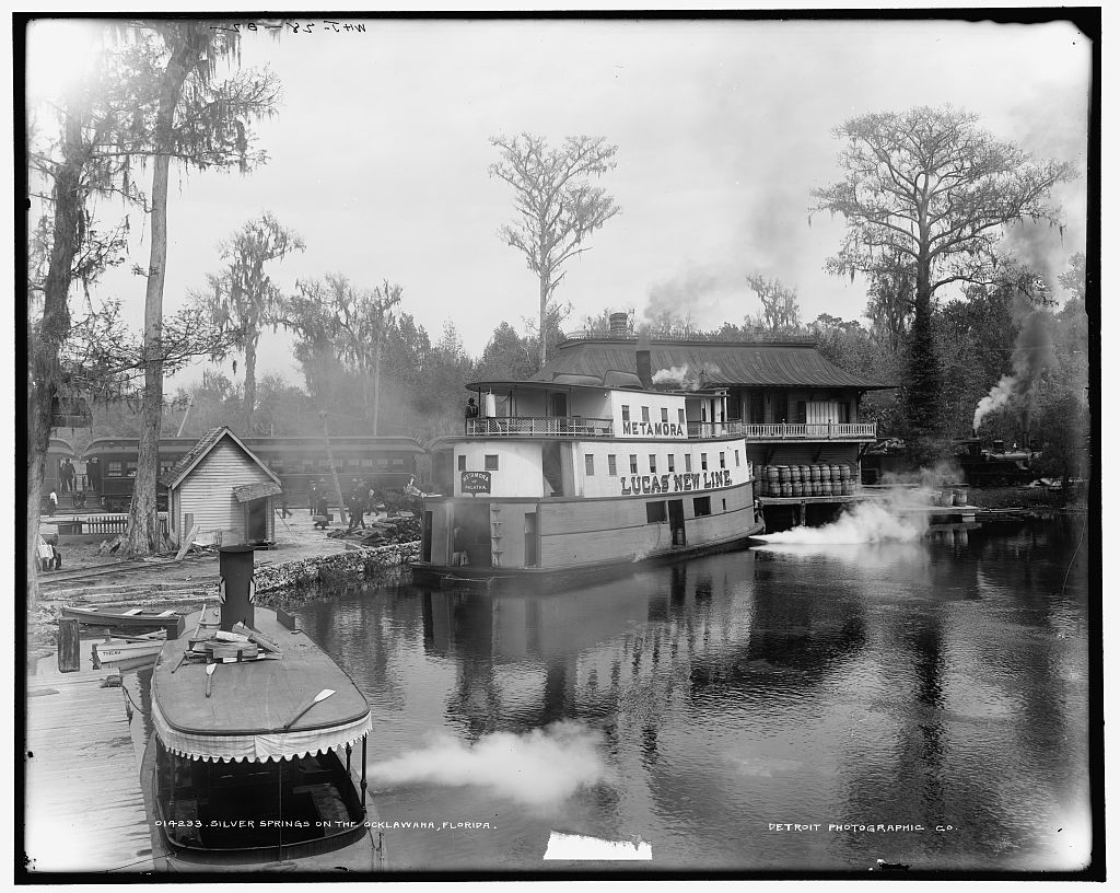 16 x 20 Gallery Wrapped Frame Art Canvas Print of Silver Springs on the Ocklawaha sic Florida 1902 Detriot Publishing co.  73a