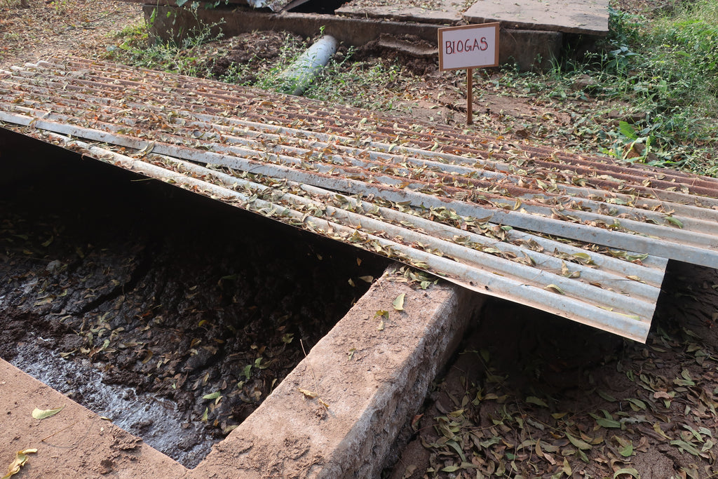 underground fermentation of biogas at biore biodynamic farming in india