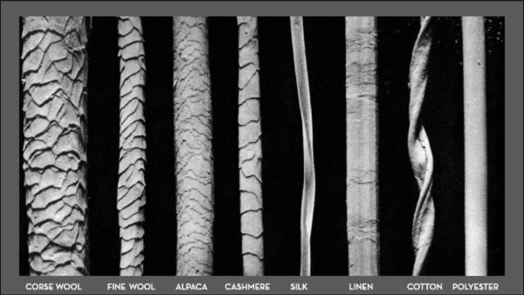 textile fibers under a micrcoscope