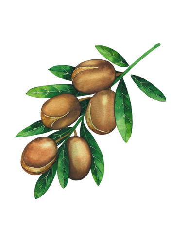 Argan Oil