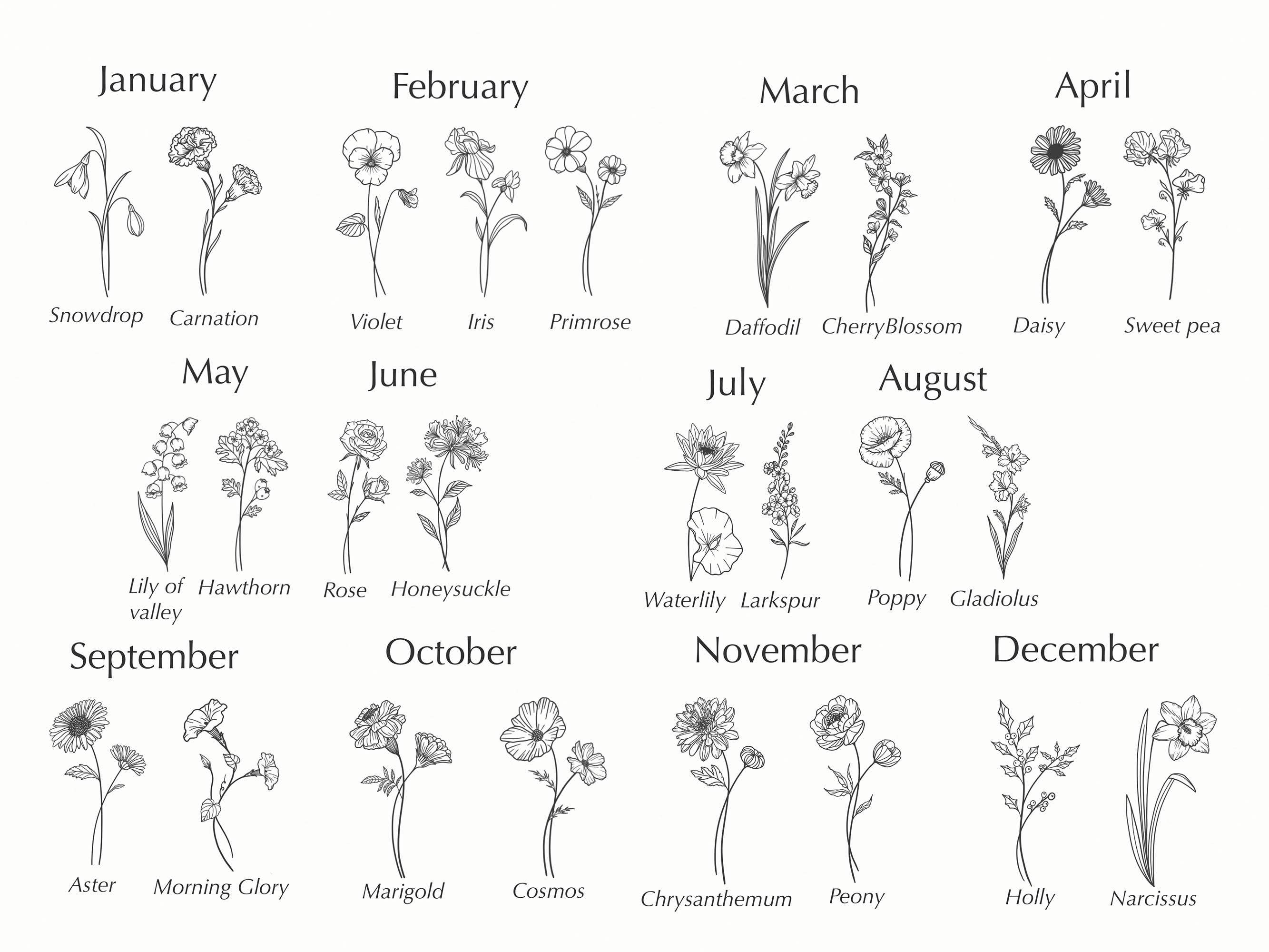 Birth Month and Flower