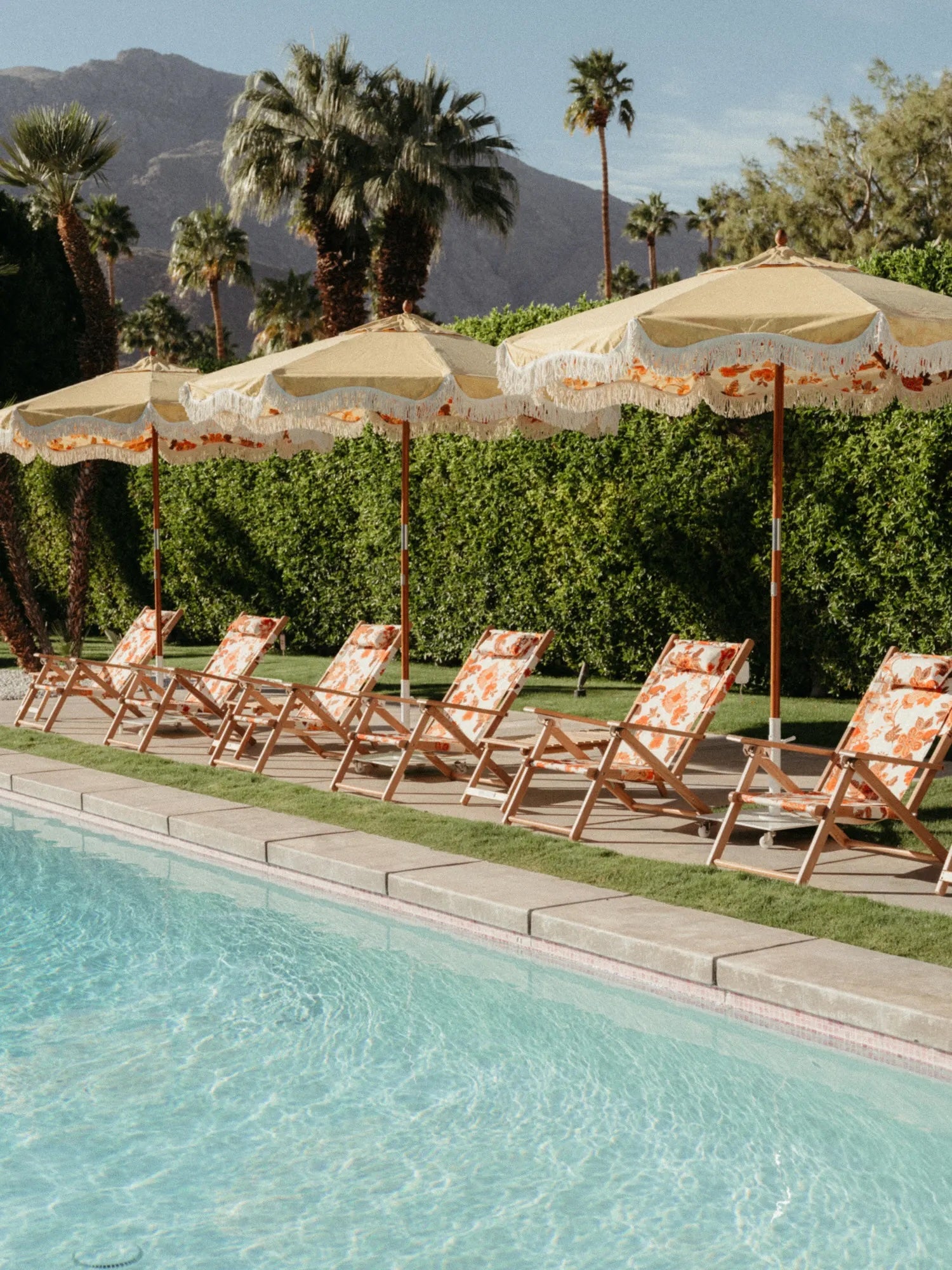 Market umbrellas and tommy chairs poolside