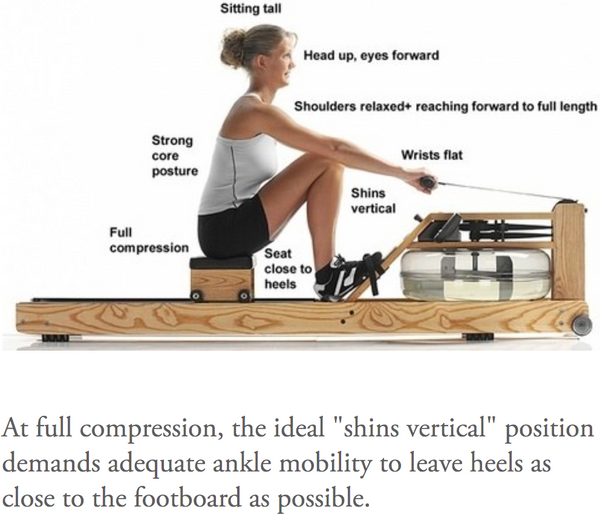 ankle catch compression shins vertical water rower physical therapy stretching