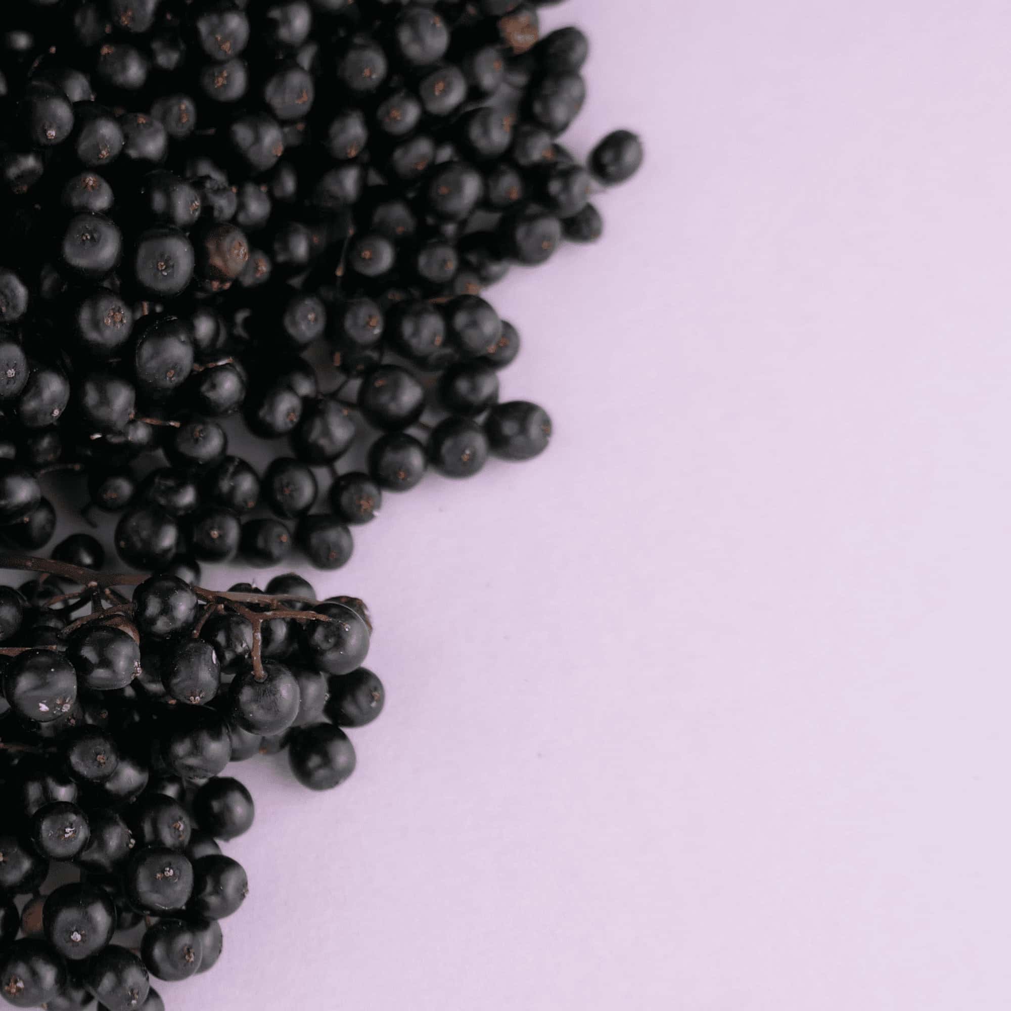 Black elderberry