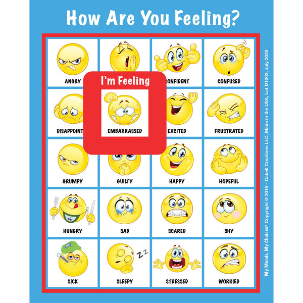 How Are You Feeling? Mood/Emotion Magnets