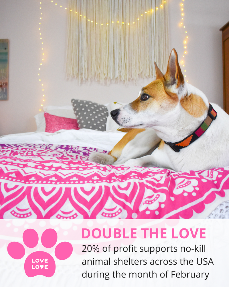 Double the Love February - 20% of profit from online sales supports no-kill animals shelters!