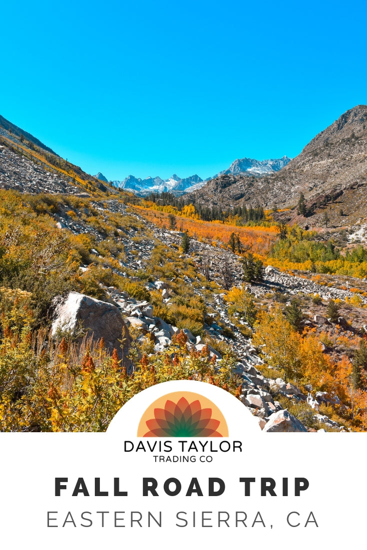 Fall road trip to the Eastern Sierra, California with Davis Taylor Trading Co.