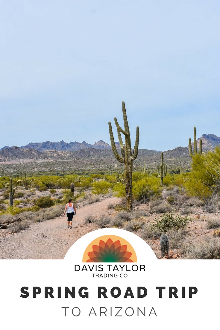 Take a spring road trip to Arizona with Davis Taylor Trading Co. Fun times in the sun filled Arizona desert.