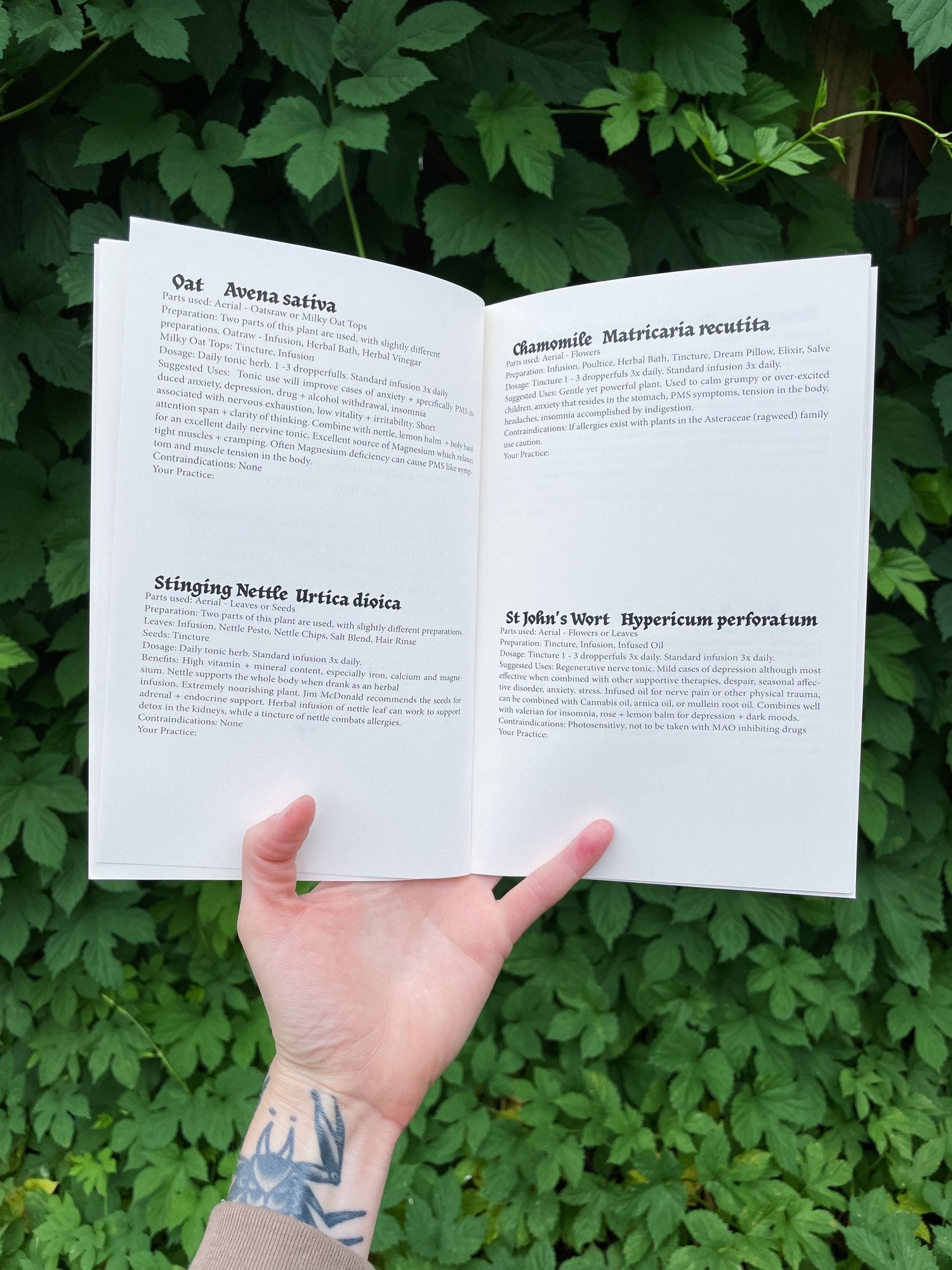 A Witch's Guide to Self-Care: Herbal Allies, Practices + Prompts for Difficult Times