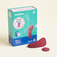 sexy secret panty vibrator
