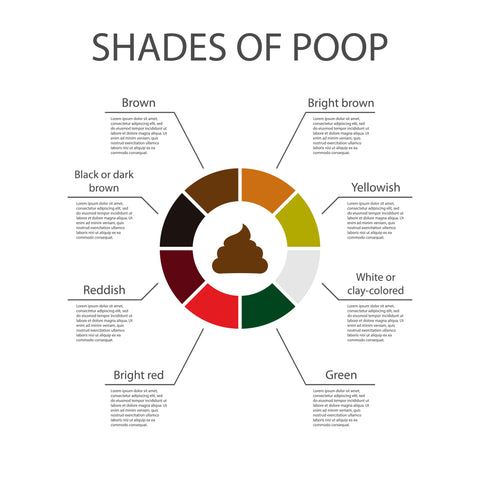 colour chart of baby shades of poop