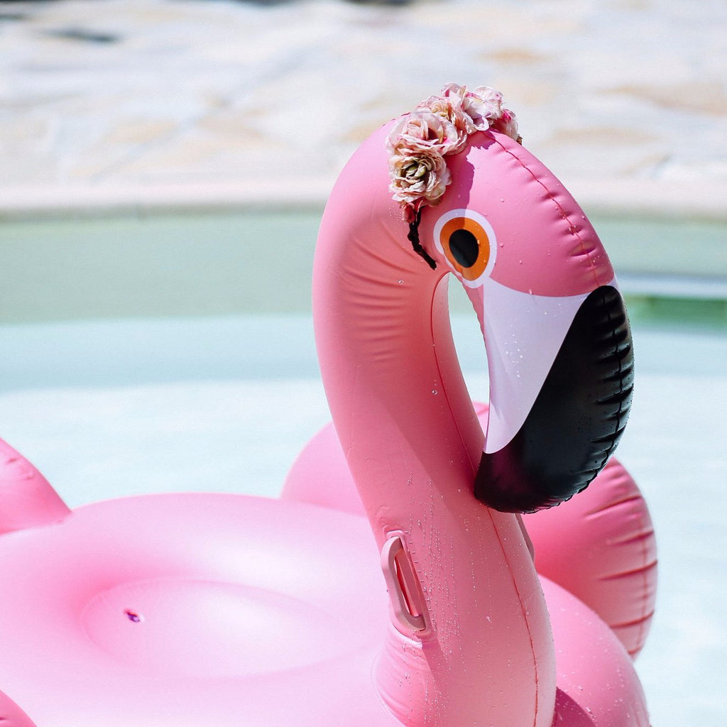 inflatable flamingo pool toys