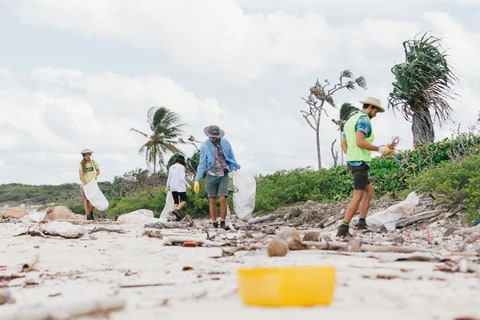 A beach clean up. 