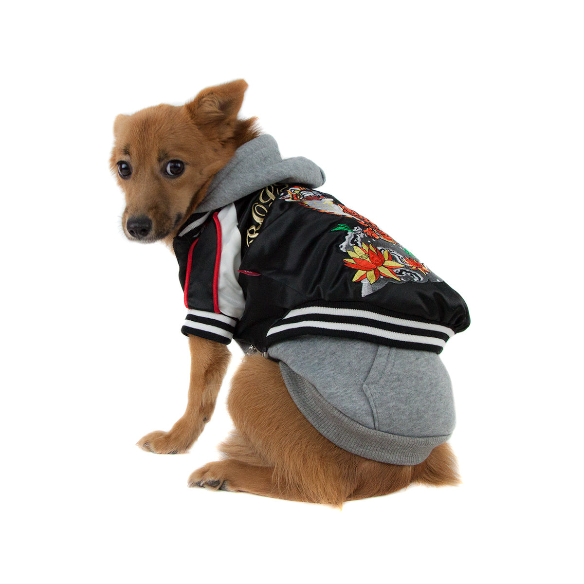 dog bomber jacket large