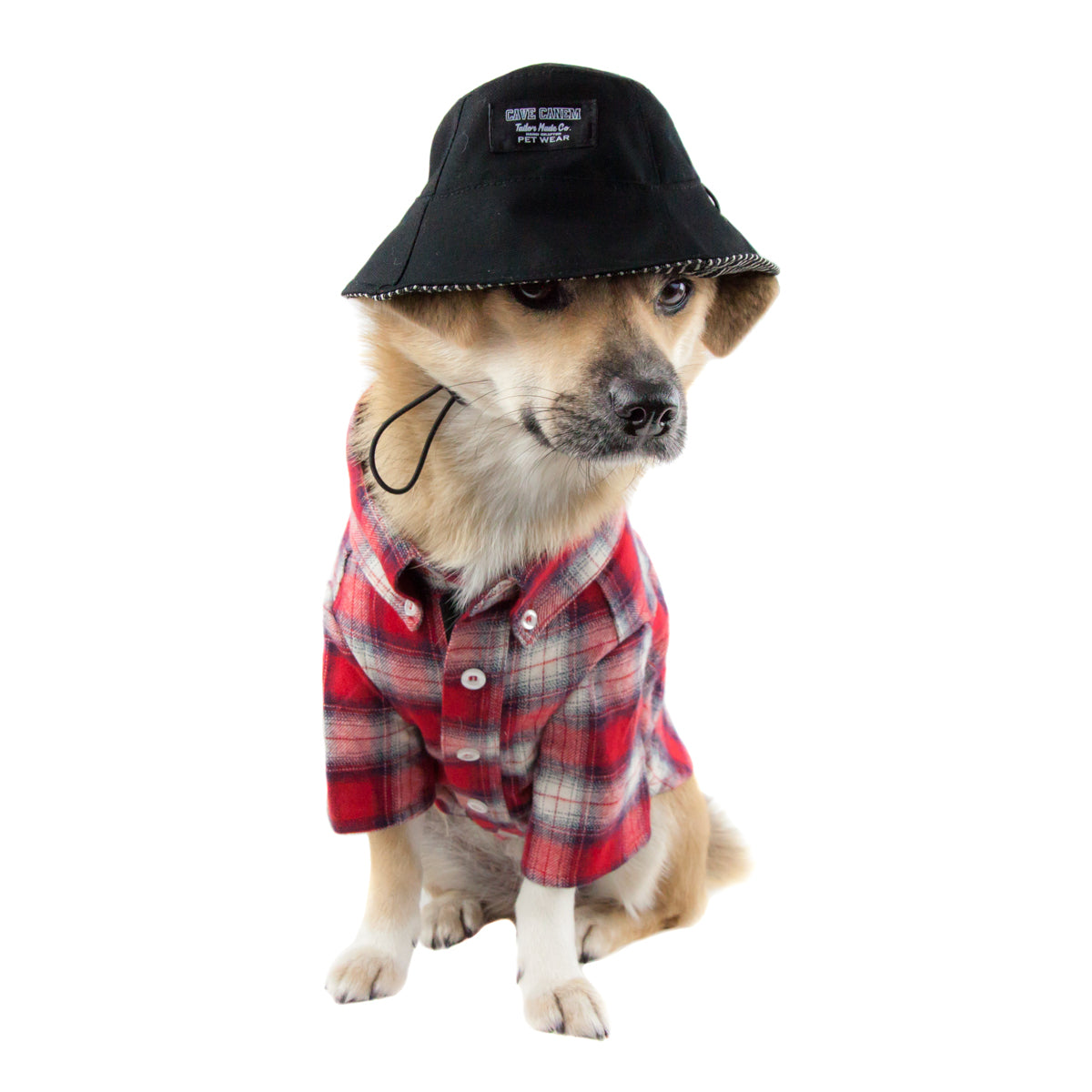 bucket hat for dogs