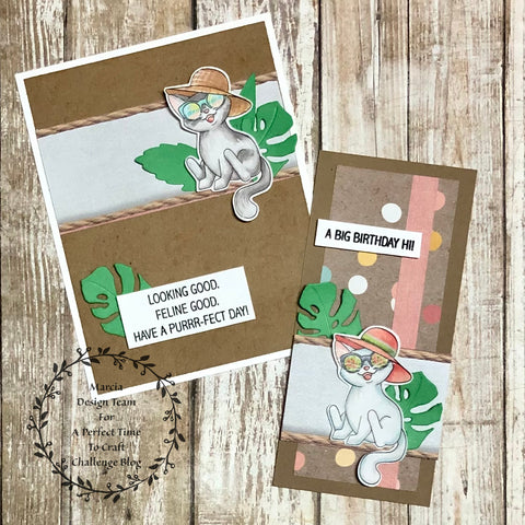 #thefrolickingfairy #apttc #aperfecttimetocraft #cardchallenge #craftchallenge #charliesstamps #summerkitten #kitten #cat #catlover #catsofinstagram #summer #felinegood #lookinggood #purrfect #birthday #birthdaycard #slimline #minislimline #slimlinecard #kraft #dryembossing #i_crafterart #yournextstamp #cardmaker #cardmaking #cardmakersofinstagram #spectrumnoir #alcoholmarkers #triblends