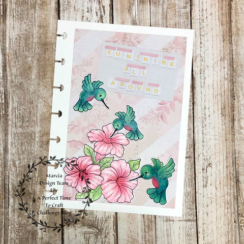 #thefrolickingfairy #aperfecttimetocraft #challengeblog #cardchallenge #apttc #fredshesaid #hummingbirds #weehummingbirdandpetunias #planner #plannergirl #plannerdiy #diydashboard #plannerdashboard #happyplanner #discpunch #discplanner #coloredpencils #prismacolor #cardmaker #cardmaking #cardmakersofinstagram