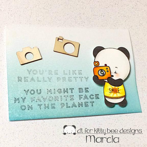 #thefrolickingfairy #kittybeedesigns #dtspotlight #smilepanda #panda #smile #takeapicture #inkroadstamps #inkroadies #compliments #altenew #iridescent #inkspray #camera #woodveneers #ephemera #ombre #distressoxide #papercraft #handmade