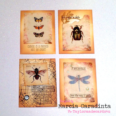 #thefrolickingfairy #taylormadecards4u #bugatccards #atcs #bugs #entomology #vintage #ephemera #dylusions #spidersweb #notecards #papercraft #handmade