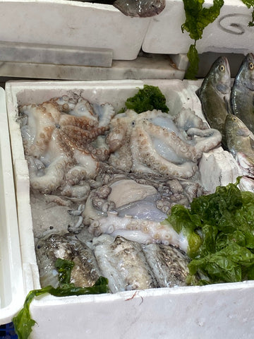 Squid at the Amalfi Markets-Cream Cornwall