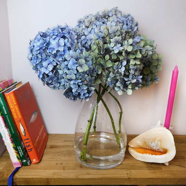 Hydrangeas drying out on shelf