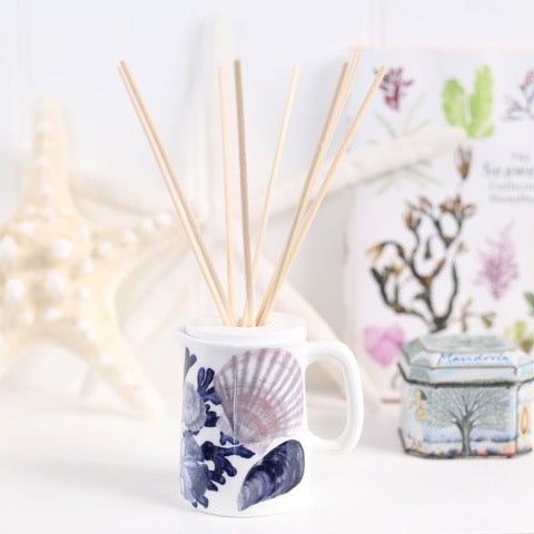 Coastal reed diffuser with shell design and unique long lasting beautiful scent