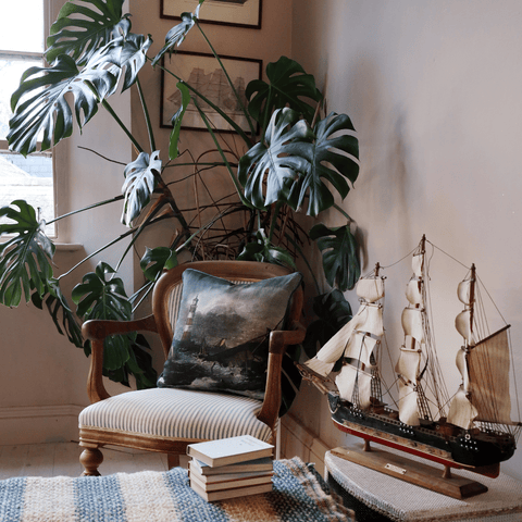 Shipwreck cushion creating a moody atmosphere with large plant in background