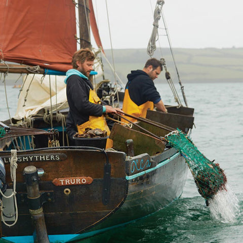 Oyster Fisherman in Carrick Roads Mylor to Flushing Cornish walk