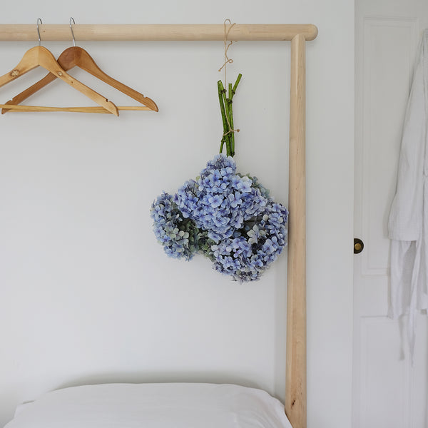 Hydrangeas hanging on bed