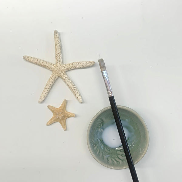 PVA starfish