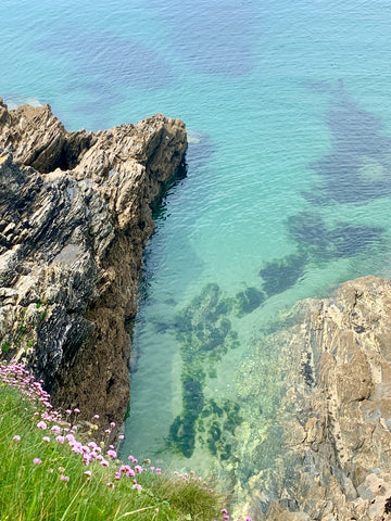 Roseland Peninsula Cream Cornwall