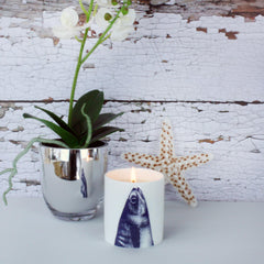 Scented Stargazey Candle-Cream Cornwall