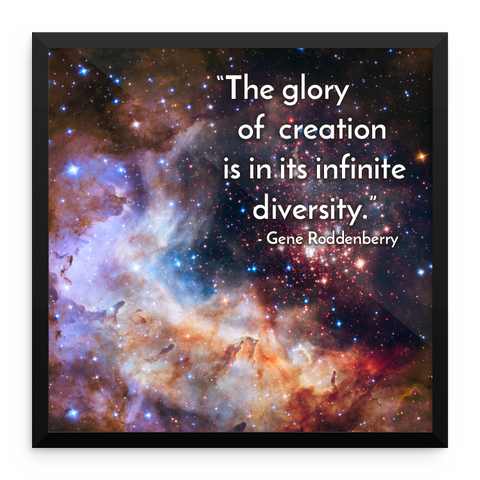 "The glory of creation is in its infinite diversity." - Gene Roddenberry