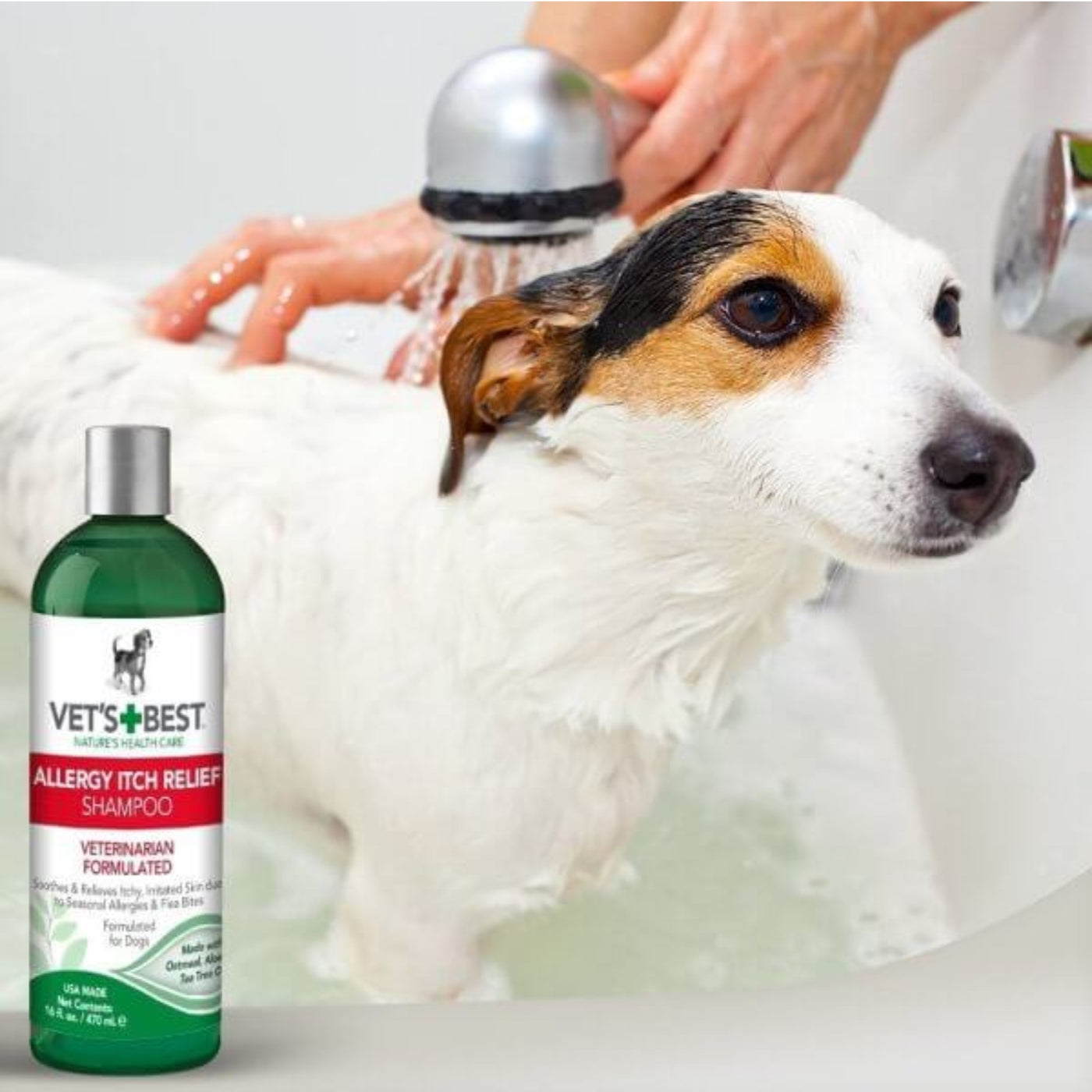 vet's best itch relief shampoo