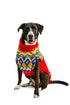 Holiday Fairisle Dog Sweater