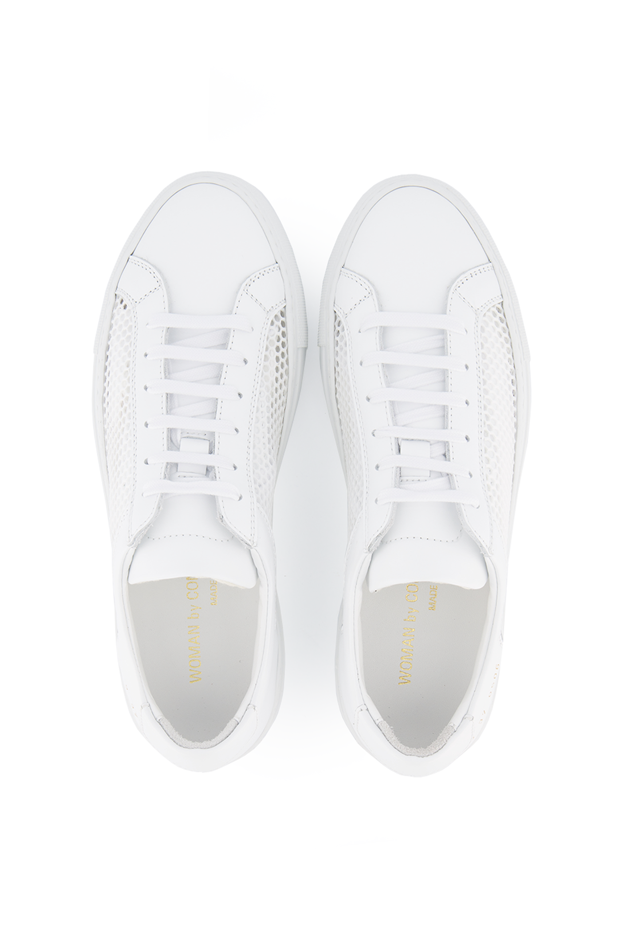 common projects achilles low summer edition