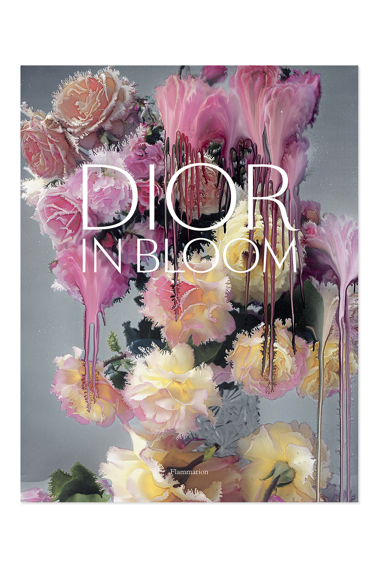 dior in bloom