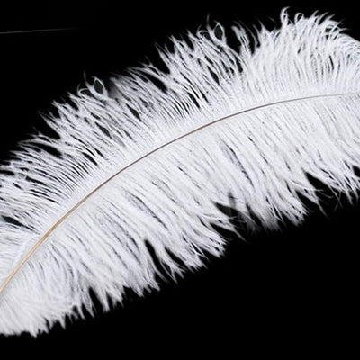 ostrich plume feathers
