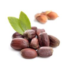 Jojoba Nuts