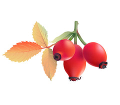 Rosehip