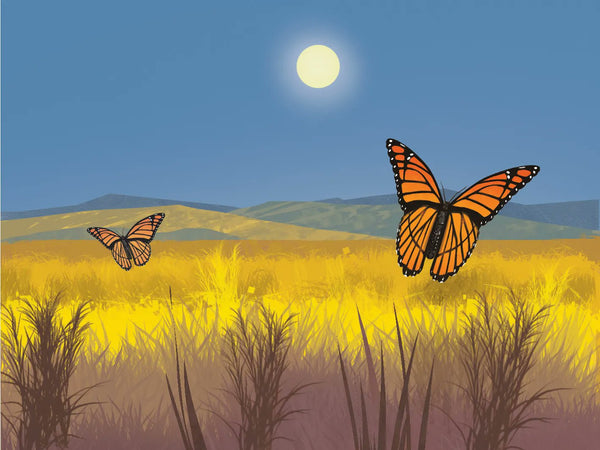 Zagrożone Monarch Butterflies Wstawka rozszerzenia gry planszowej TheGameSteward . game steward Kickstarter